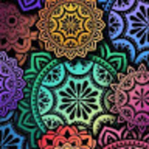 Meet your Posher, Jolene